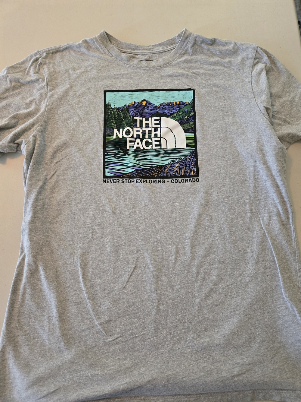 The North Face Colorado Graphic Tee Gray Large